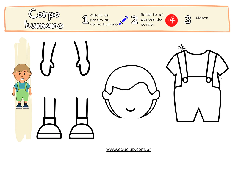 Partes do corpo humano para montar | Educlub